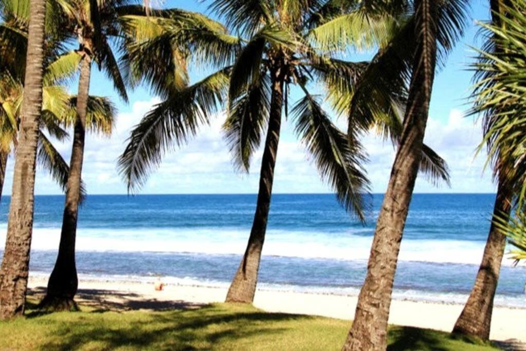Maison De Vacances, Decouvrir Le Sud De La Reunion Petite Île Exterior foto